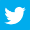 Twitter (X)
